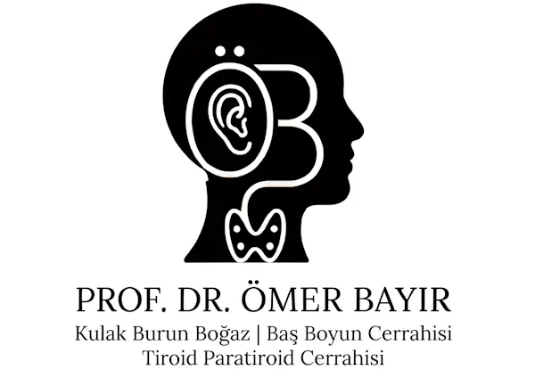 Prof. Dr. Ömer Bayır